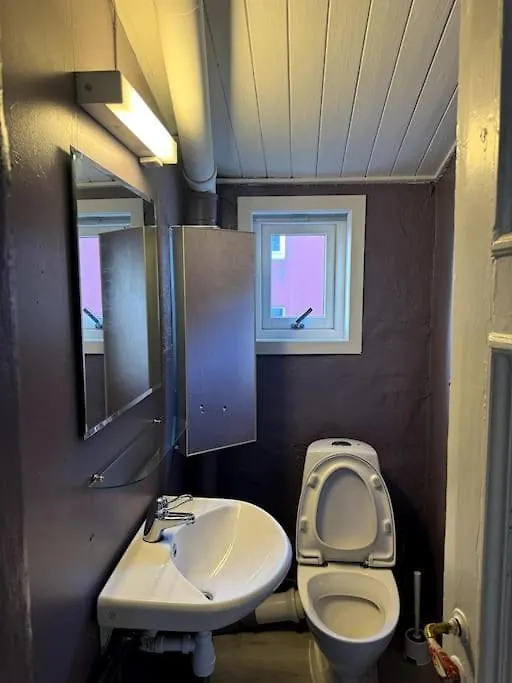 Appartement Pen Toppleilighet Midt I Sentrum Bergen Norvège